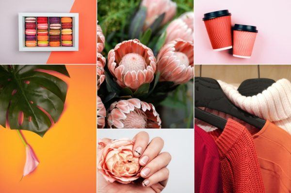 Ejemplo de un moodboard para una empresa