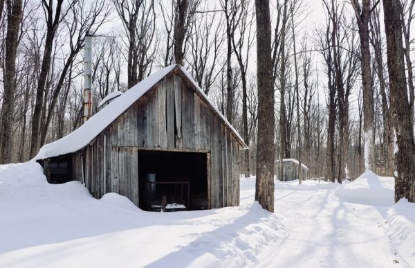 Fachada de casa rustica 