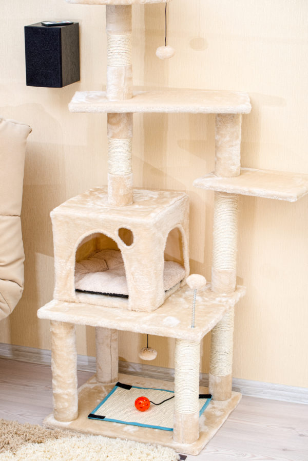 Mejores manualidades dia internacional gato juguete