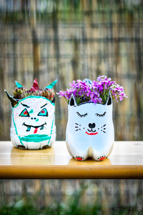 Mejores manualidades dia internacional gato maceta