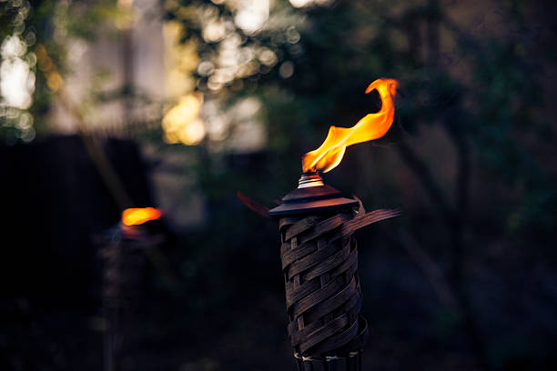 Las mejores ideas para iluminar tu jardin sin contaminar antorcha de jardin