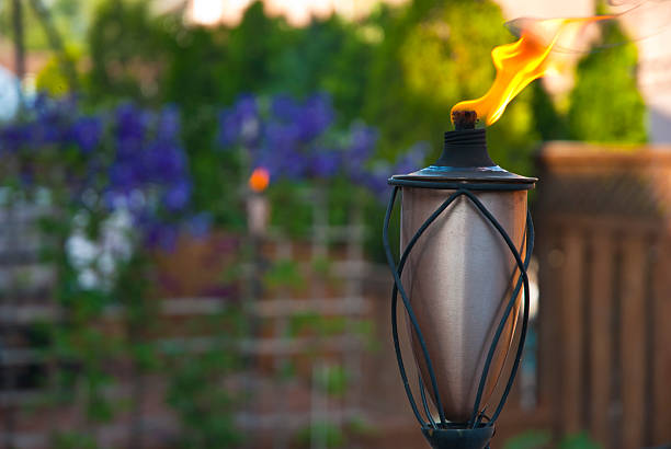Las mejores ideas para iluminar tu jardin sin contaminar antorcha