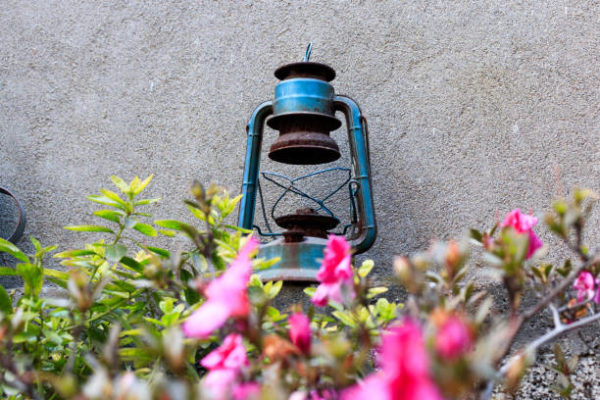 Las mejores ideas para iluminar tu jardin sin contaminar lampara