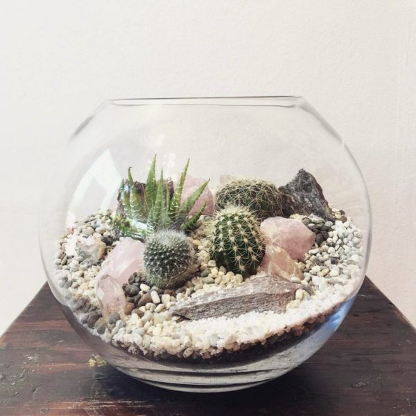 Ideas de manualidades para adultos en verano terrario arena 