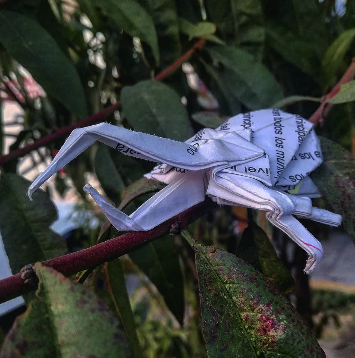 Las mejores ideas para expertos para hacer Origami escarabajo