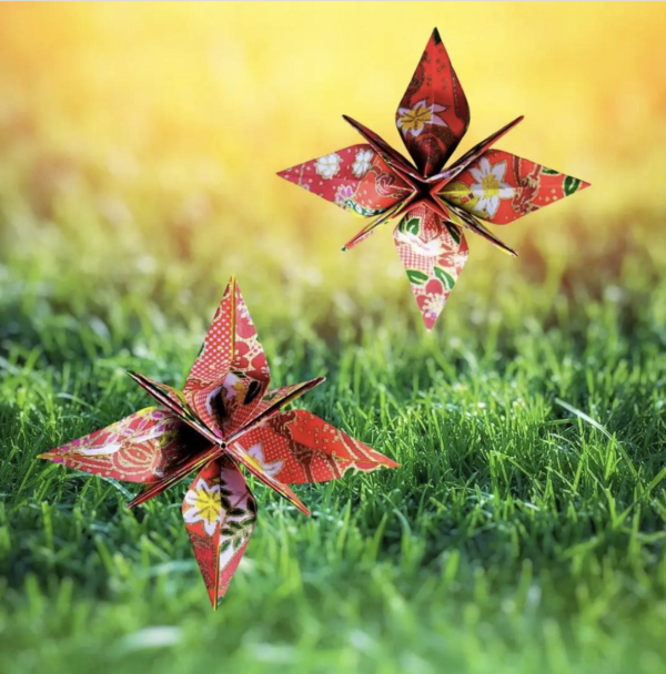 los Origami más sencillos para hacer con personas mayores y celebrar el Día Mundial del Origami mariposas pro